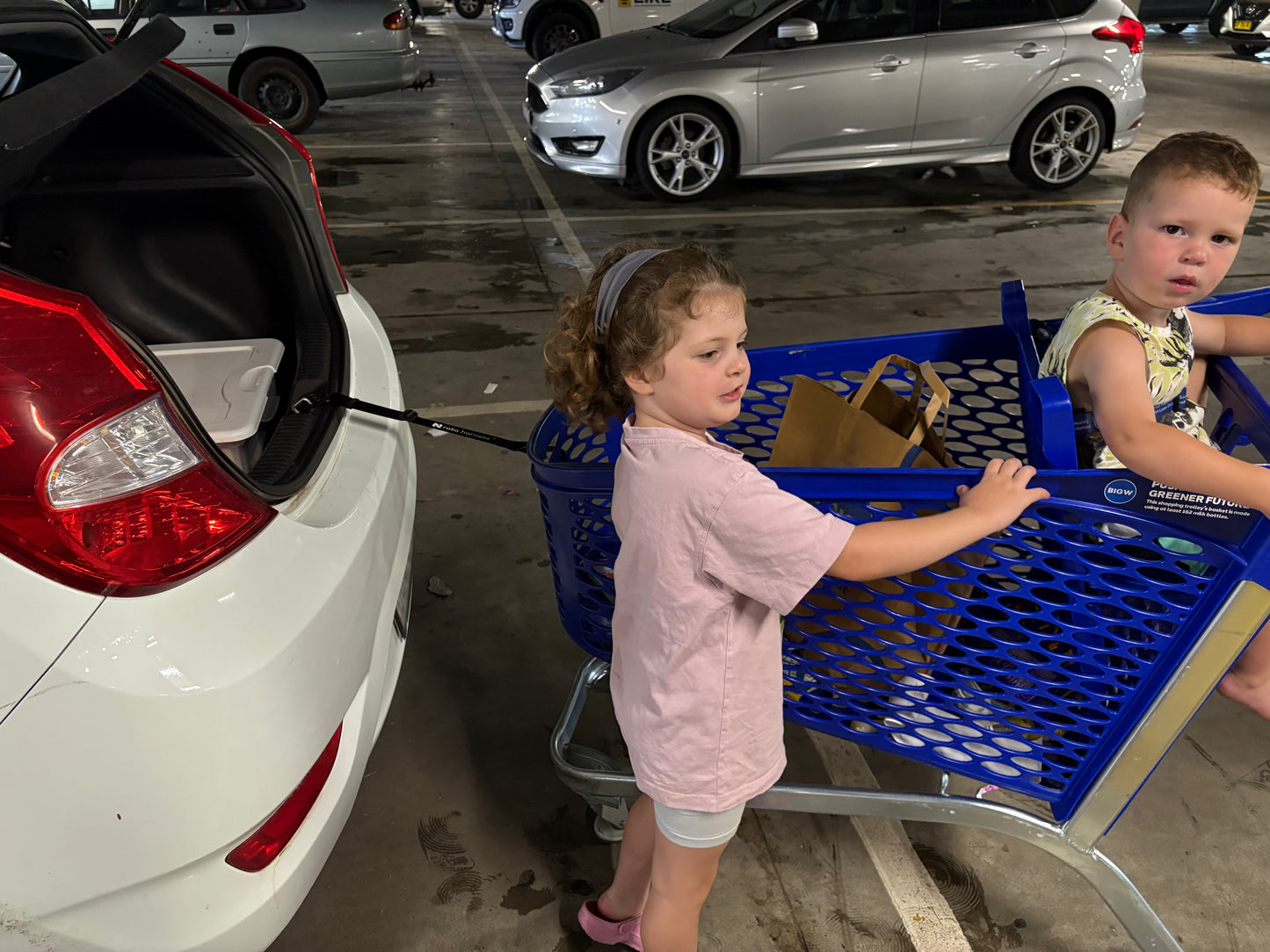 Cart2Car Harness - Black